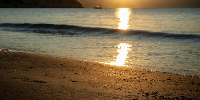 lifestyle post image