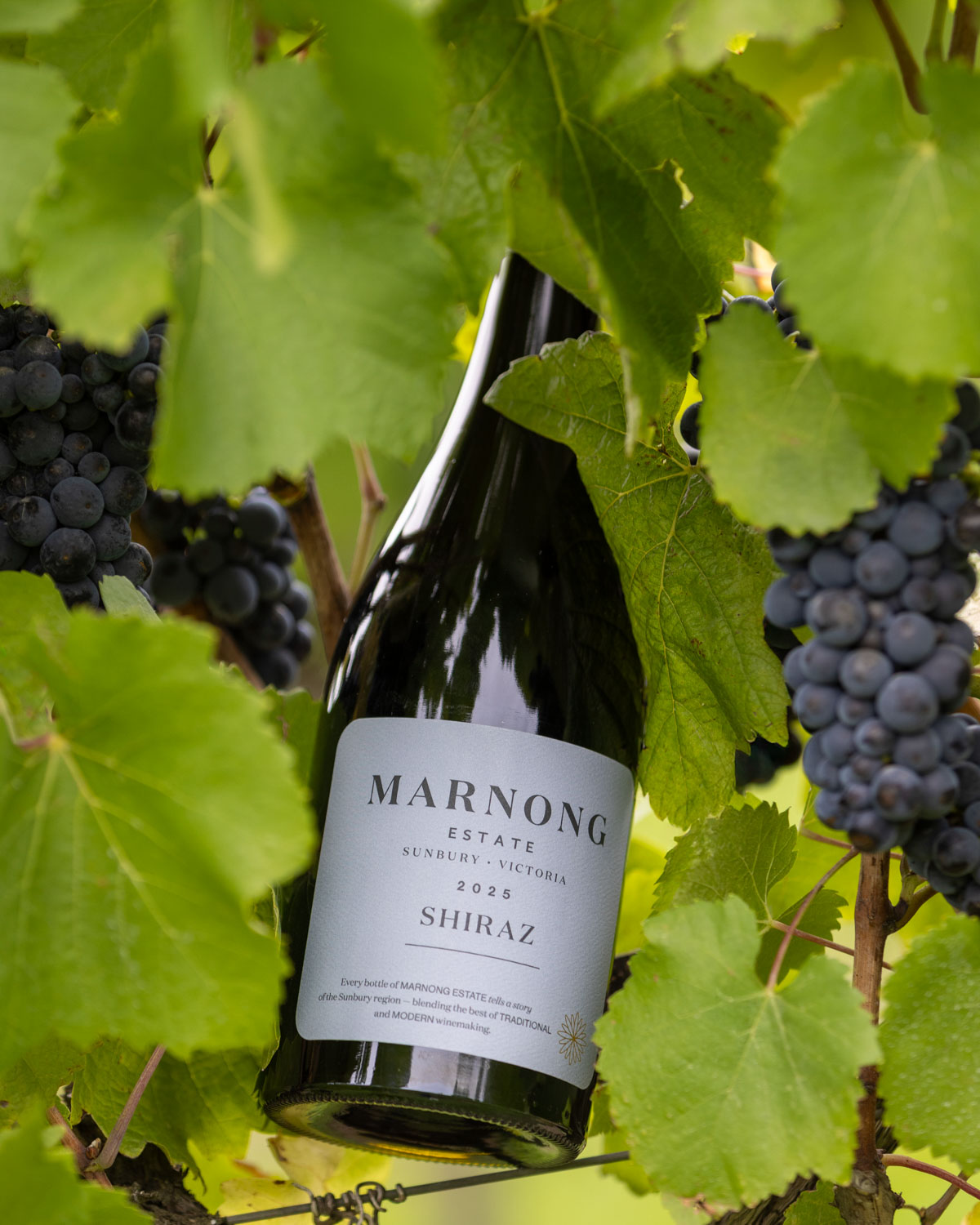 Marnong Estates Latest Collection Includes the First Red Wine Offering from its Luxurious Reserve Range