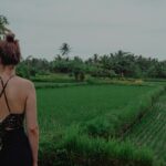 recent ocean road post