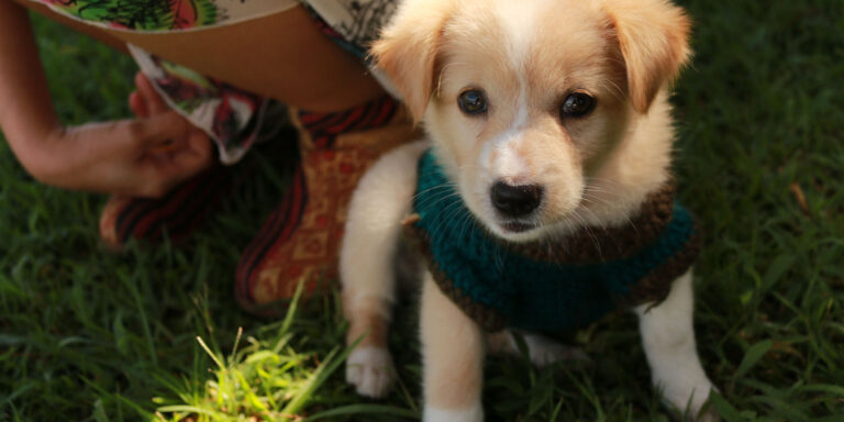 health and wellbeing post image